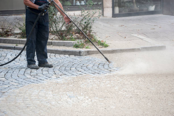 Best House Exterior Washing  in Cresson, TX